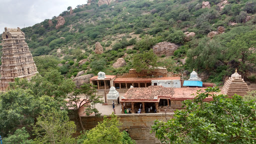 Yaganti Temple, Temple Gopuram, Yaganti Rd, Yaganti, Andhra Pradesh 518124, India, Place_of_Worship, state AP