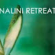 Nalini Retreat
