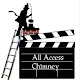 All Access Chimney & Fireplace Inc