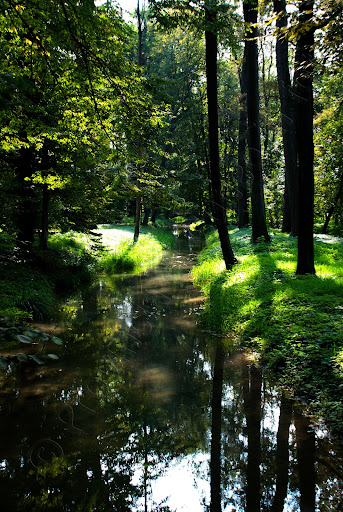 fotografie parco castello racconigi
