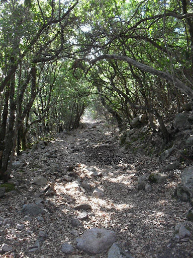 SDC12109.JPG