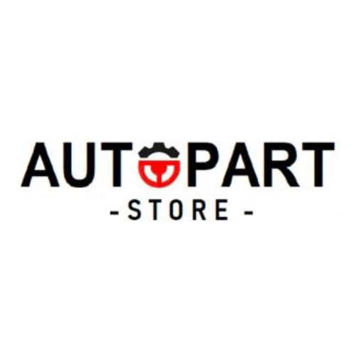 Auto Parts Store LLC