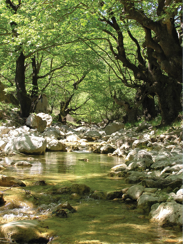 The waterfalls of Dimosari in Nydri | Lefkada Slow Guide