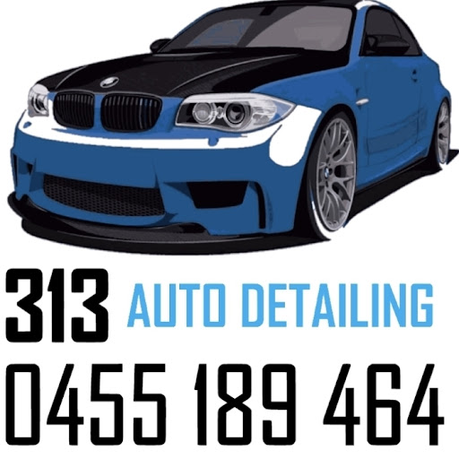 313 Auto Detailing logo