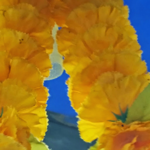 Thailand up close - orange flowers for sale
