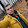Marian Neagul Marian Neagul's profile photo