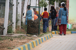 19-Dec-2011 Pic: OP Swaminathan  Hands-on morning for school children. See the composter for garden waste.