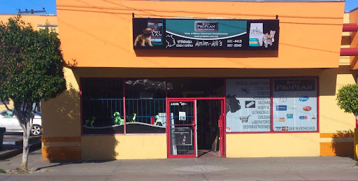 VETERINARIA ANIM-ALL´S, Ignacio Altamirano #4567-28 Col. Soler (Plaza Misión), Tijuana, Baja California., Nextel 152*14*59330, 22105 Tijuana, B.C., México, Servicio de urgencias veterinarias | BC
