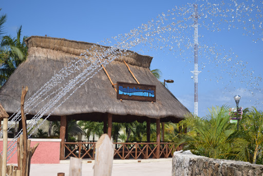 Ventura Park, Blvd. Kukulcan Km. 25 Hotel Zone, Cancun, Mexico., Next to Dolphinaris Cancun, 77500 Cancún, Q.R., México, Parque acuático | TLAX
