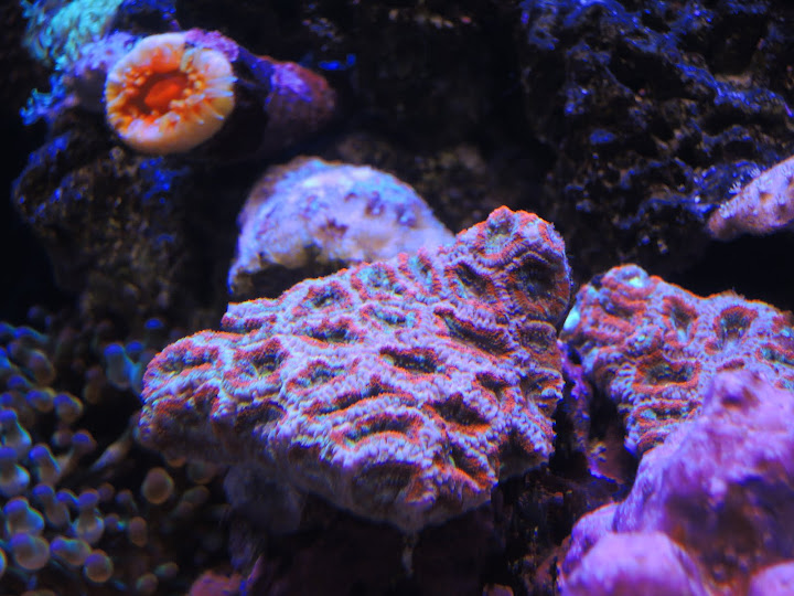 DSCN1100.JPG