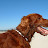 Astrid Schreuder avatar image