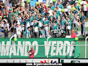 TORCIDA ORGANIZADA COMANDO VERDE