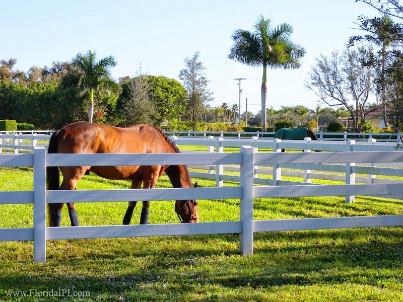 Wellington Fl Saddle Trail Park equestrian homes for sale Florida IPI International Properties and Investments