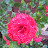 Aaron Ashley avatar image