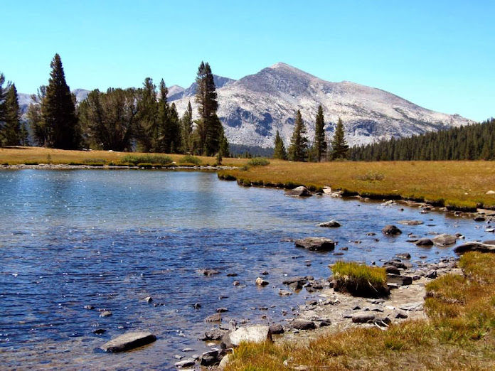 CALIFORNIA 2013 - Blogs de USA - 11 AGOSTO: TIOGA PASS, BODIE Y MONO LAKE (11)