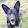 Evan Gough Evan Gough's profile photo