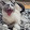 Marcel Jones Marcel Jones's profile photo