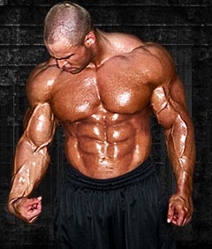 Muscle gallery: The Secret of How to Build Big Muscles