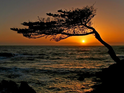 Carmel Sunset, California.jpg