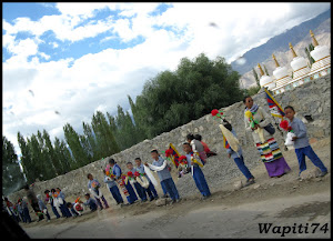 Entre monastères et lacs au Petit Tibet Indien 2.Dala%25C3%25AFLama