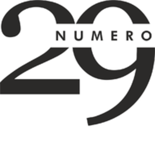 Numero29 STORE logo