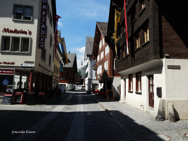 passeando - Passeando pela Suíça - 2012 - Página 12 DSC04046