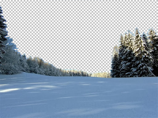 winter027 (Medium).jpg
