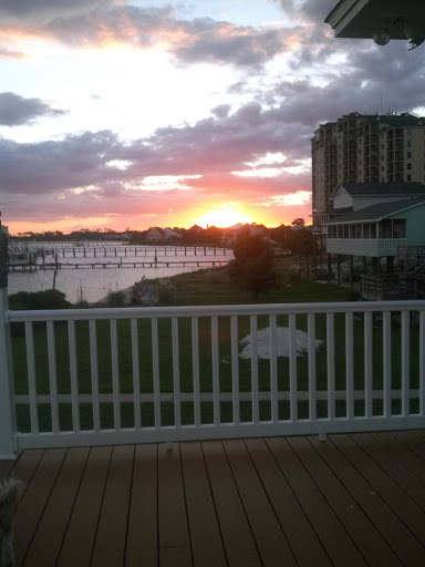 Snug Harbour