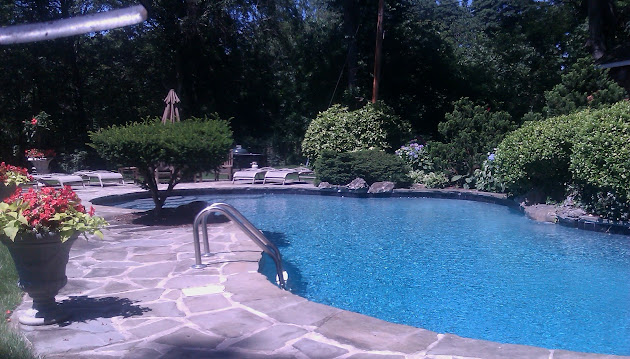 Cover photo