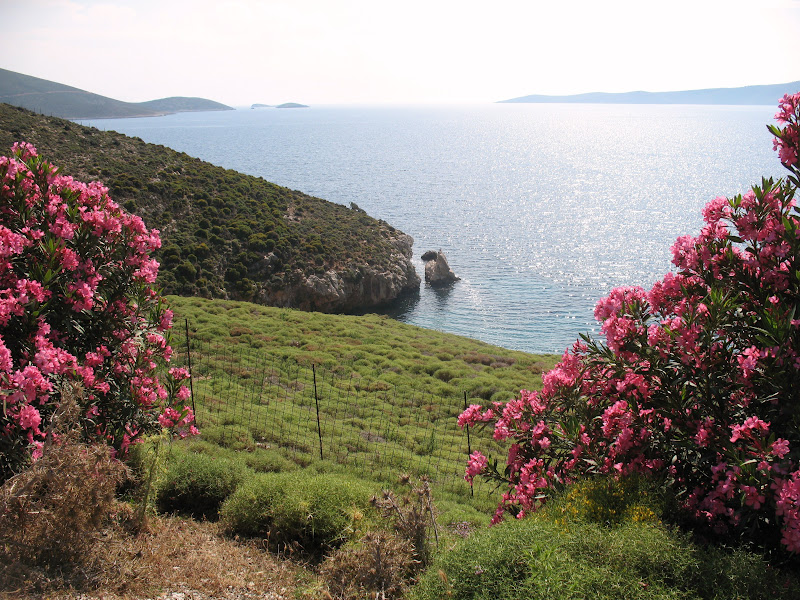 Tour to Skyros Island - Greece IMG_1549