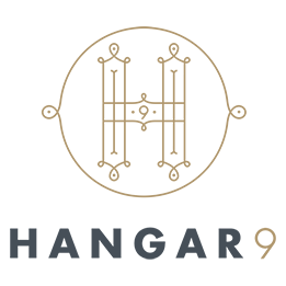 Hangar9 logo