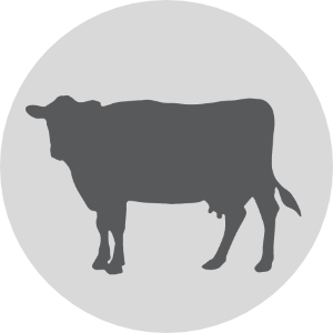 Inveraray Farm logo