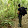 Jesús DC Jesús DC's profile photo