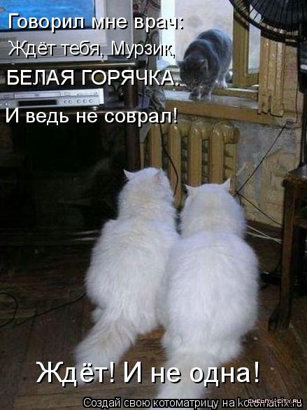 Ни дня без улыбки: начался июль... Ни дня без улыбки: начался июль...
