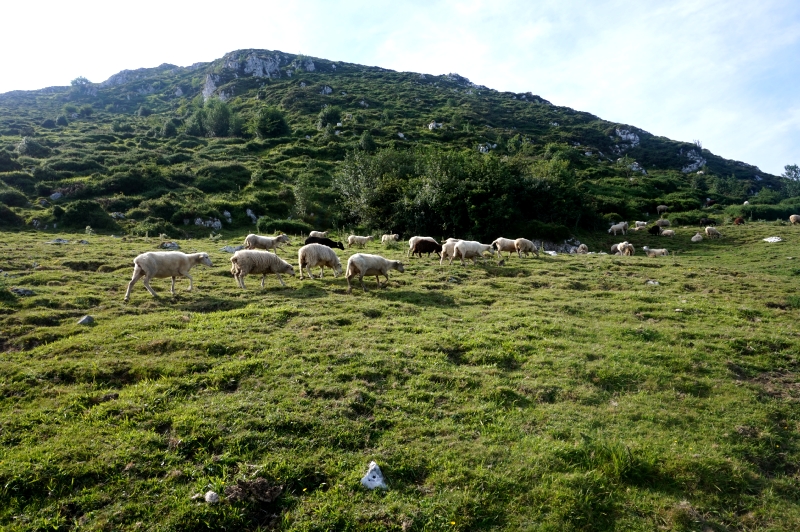 La Mostayal (Sª del Aramo) - Descubriendo Asturias (12)