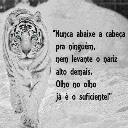 PgAAAImWFi72RVkTAUHcWpXBpvSbXRzjzjskcva2