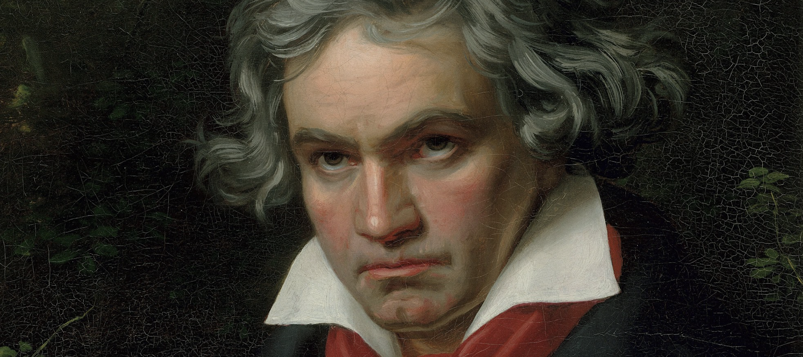 Dipinto di Beethoven.