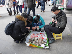 man selling wolf-dog teeth and heads in Chongqing