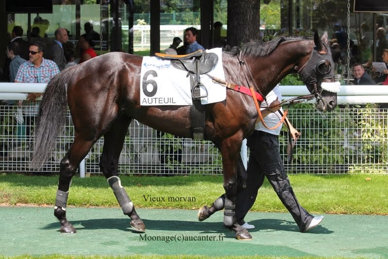 Photos Auteuil 8-06-2014  IMG_1693