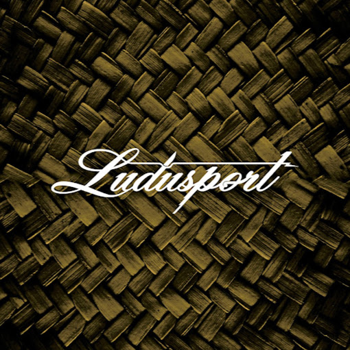 Ludusport Academy & Gym logo