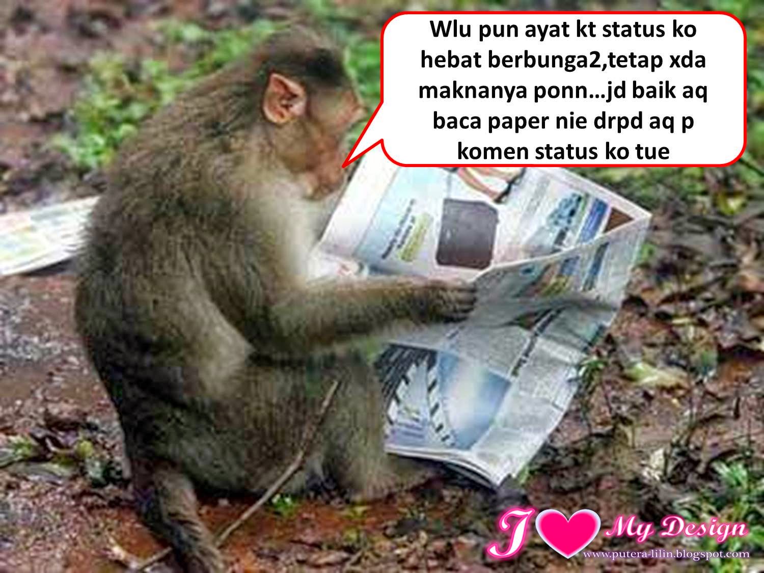 Gambar Meme Kocak Monyet Guyonreceh