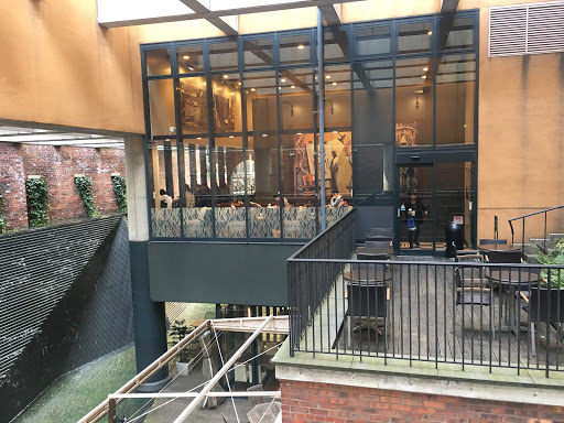Starbucks Coffee