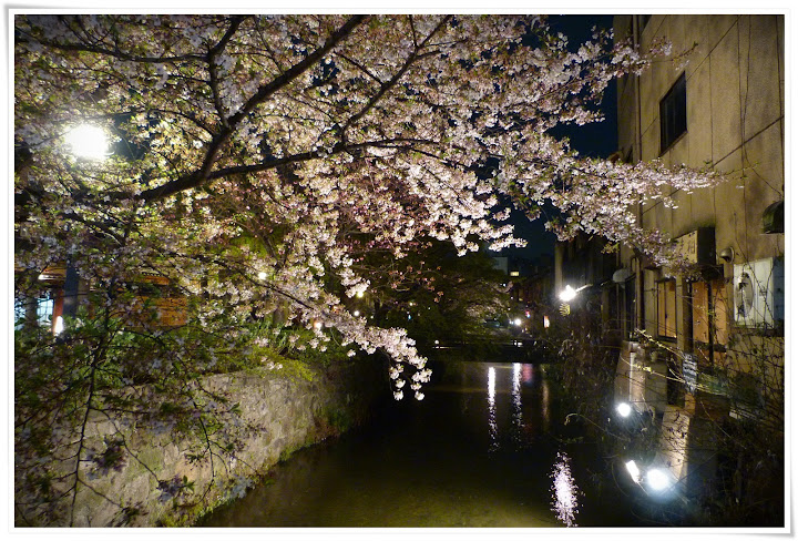 Kyoto (IV): toriis, dragones y geishas - Japón es mucho más que Tokyo (15)