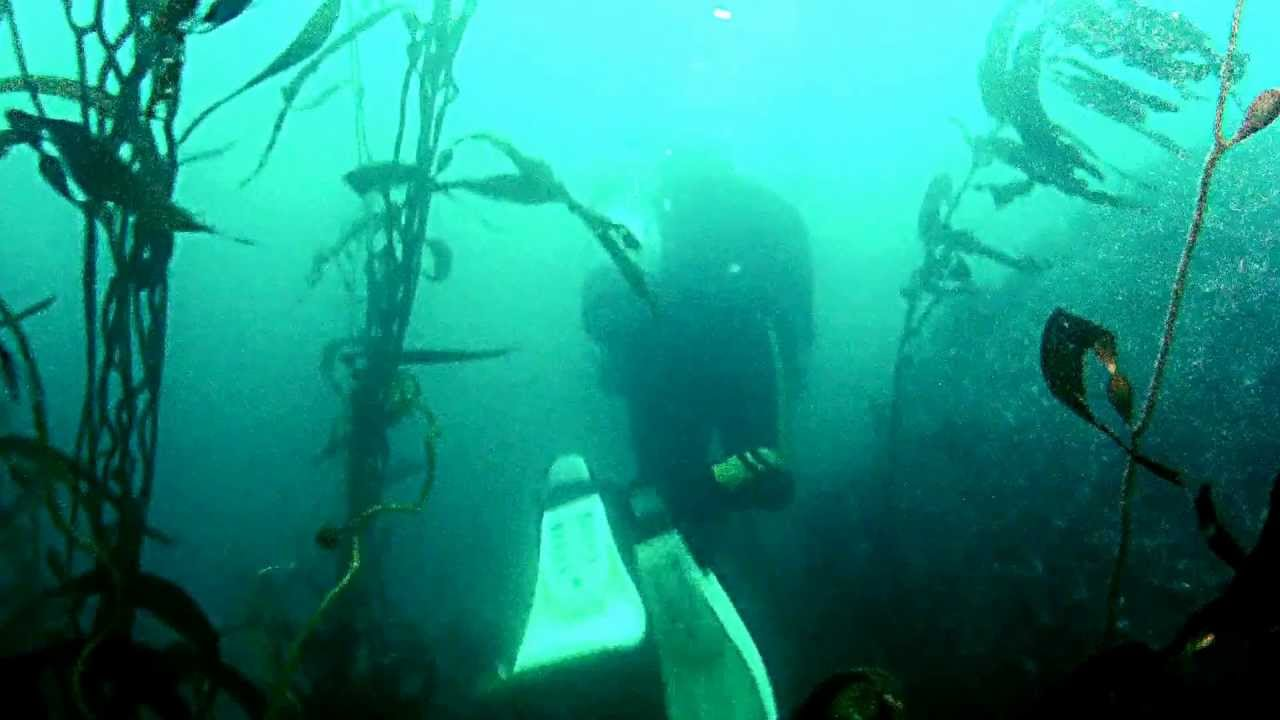 Road Trip Ideas for Scuba Divers