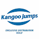 KANGOO JUMPS