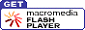 plugin flash
