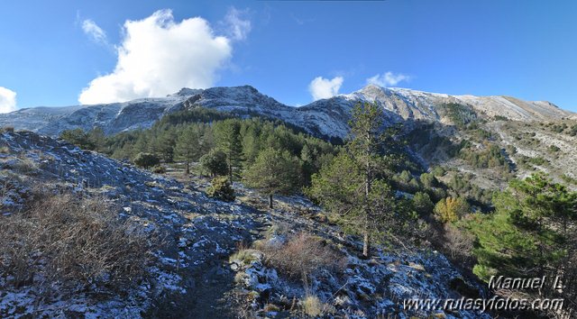 Subida a la Maroma desde el Robledal