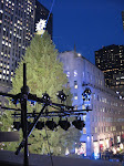 The tree before its lights were turned on The tree before its lights were turned on