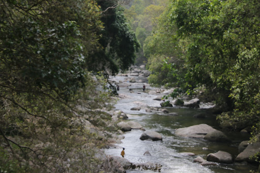 Chamang River Recreational Forest