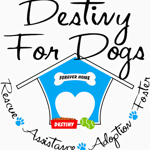 Destiny For Dogs logo